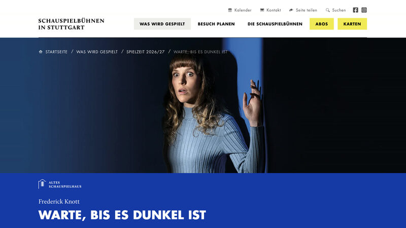 Stückseite „Warte, bis es dunkel ist“: erschrockene Darstellerin in blauem Rollkragenpullover vor einer dunklen Wand, darunter der blaue Titelbalken des Alten Schauspielhauses.